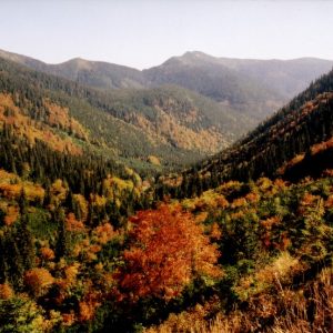 Vajskovská dolina